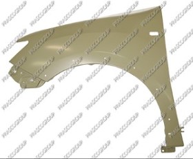 AILE AVANT GAUCHE AVEC TROU FEU D'AILE