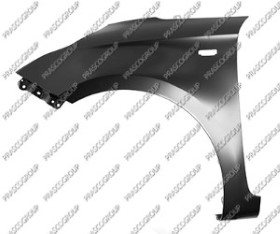 AILE AVANT GAUCHE AVEC TROU FEU D'AILE