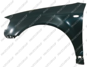 AILE AVANT GAUCHE AVEC TROU FEU D'AILE