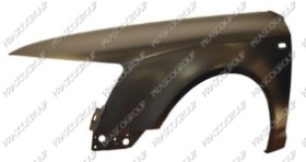 AILE AVANT GAUCHE AVEC TROU FEU D'AILE