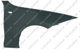 AILE AVANT DROITE AVEC TROU FEU D'AILE