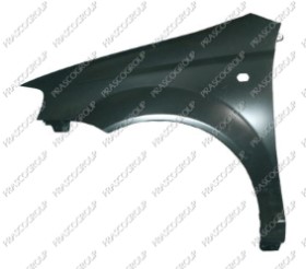 AILE AVANT GAUCHE AVEC TROU FEU D'AILE