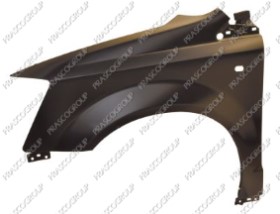 AILE AVANT GAUCHE AVEC TROU FEU D'AILE