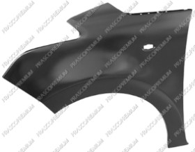 AILE AVANT GAUCHE AVEC TROU FEU D'AILE