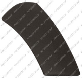 EMBOUT DROIT DE PARE CHOCS AVANT-NOIRE