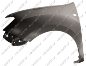 AILE AVANT GAUCHE AVEC TROU FEU D'AILE