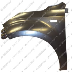 AILE AVANT GAUCHE AVEC TROU FEU D'AILE