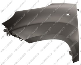 AILE AVANT GAUCHE AVEC TROU FEU D'AILE