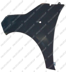 AILE AVANT GAUCHE AVEC TROU FEU D'AILE