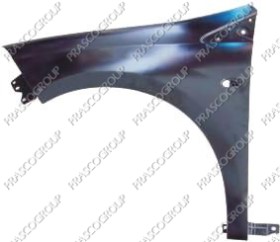 AILE AVANT GAUCHE AVEC TROU FEU D'AILE