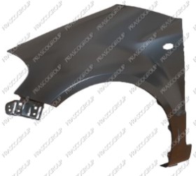 AILE AVANT GAUCHE AVEC TROU FEU D'AILE