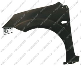 AILE AVANT GAUCHE AVEC TROU FEU D'AILE