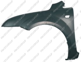 AILE AVANT GAUCHE AVEC TROU FEU D'AILE