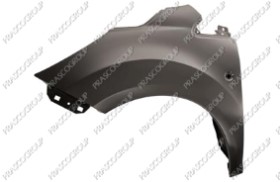 AILE AVANT GAUCHE AVEC TROU FEU D'AILE