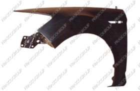 AILE AVANT GAUCHE AVEC TROU FEU D'AILE