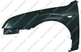 AILE AVANT GAUCHE AVEC TROU FEU D'AILE