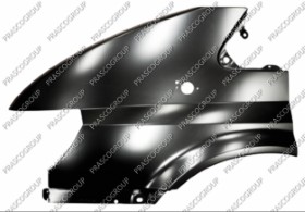 AILE AVANT GAUCHE AVEC TROU FEU D'AILE