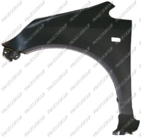 AILE AVANT GAUCHE AVEC TROU FEU D'AILE