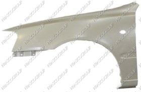 AILE AVANT GAUCHE AVEC TROU FEU D'AILE