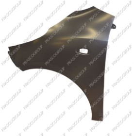 AILE AVANT GAUCHE AVEC TROU FEU D'AILE