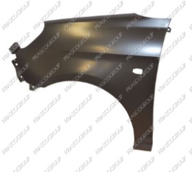 AILE AVANT GAUCHE AVEC TROU FEU D'AILE