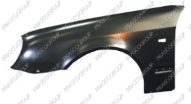 AILE AVANT GAUCHE AVEC TROU FEU D'AILE