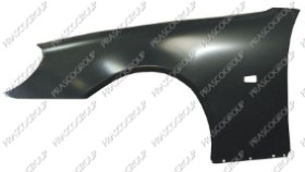 AILE AVANT GAUCHE AVEC TROU FEU D'AILE