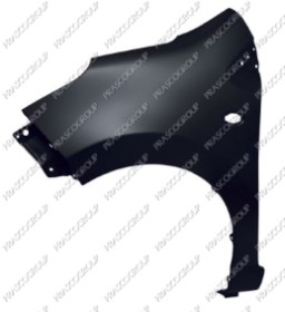 AILE AVANT GAUCHE AVEC TROU FEU D'AILE