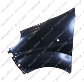 AILE AVANT GAUCHE AVEC TROU FEU D'AILE