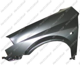 AILE AVANT GAUCHE AVEC TROU FEU D'AILE