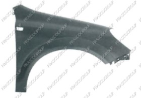 AILE AVANT DROITE AVEC TROU FEU D'AILE