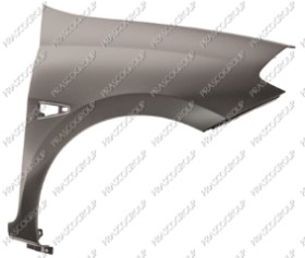 AILE AVANT DROITE AVEC TROU FEU D'AILE