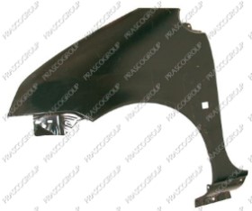 AILE AVANT GAUCHE AVEC TROU FEU D'AILE