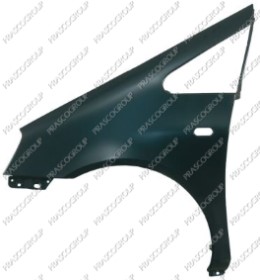 AILE AVANT GAUCHE AVEC TROU FEU D'AILE