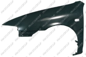 AILE AVANT GAUCHE AVEC TROU FEU D'AILE