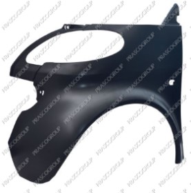 AILE AVANT GAUCHE AVEC TROU FEU D'AILE