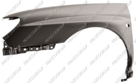 AILE AVANT GAUCHE AVEC TROU FEU D'AILE