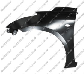 AILE AVANT GAUCHE AVEC TROU FEU D'AILE