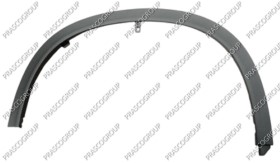 EXTENSION D'AILE AVANT DROITE-NOIRE STRUCTURE'