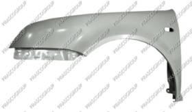 AILE AVANT GAUCHE AVEC TROU FEU D'AILE