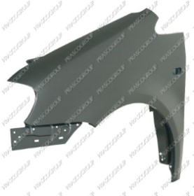 AILE AVANT GAUCHE AVEC TROU FEU D'AILE