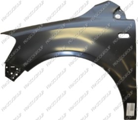 AILE AVANT GAUCHE AVEC TROU FEU D'AILE