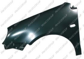 AILE AVANT GAUCHE AVEC TROU FEU D'AILE