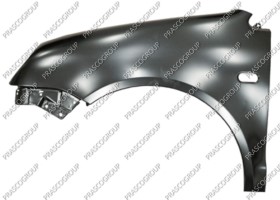 AILE AVANT GAUCHE AVEC TROU FEU D'AILE